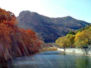 澳门二四六天天彩图库，爱情都市